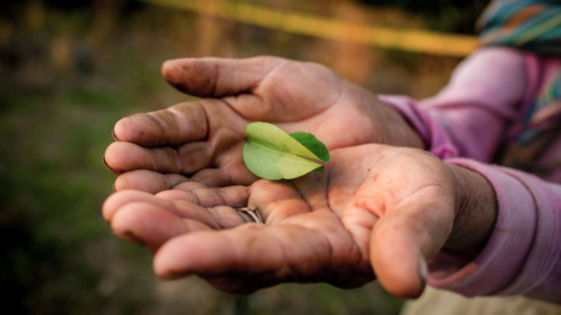 Gestión sostenible de los recursos naturales