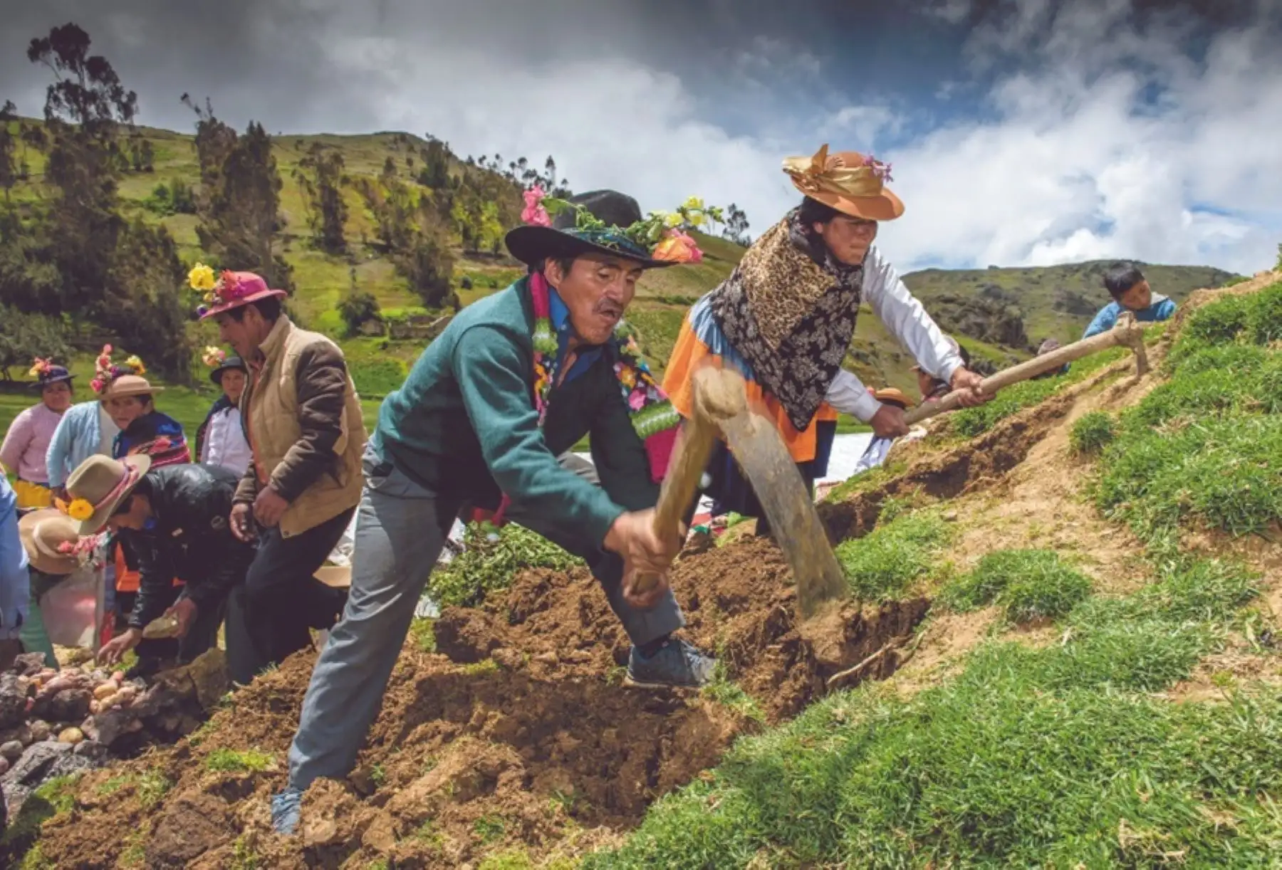 Baja productividad y altos costos en la agricultura familiar