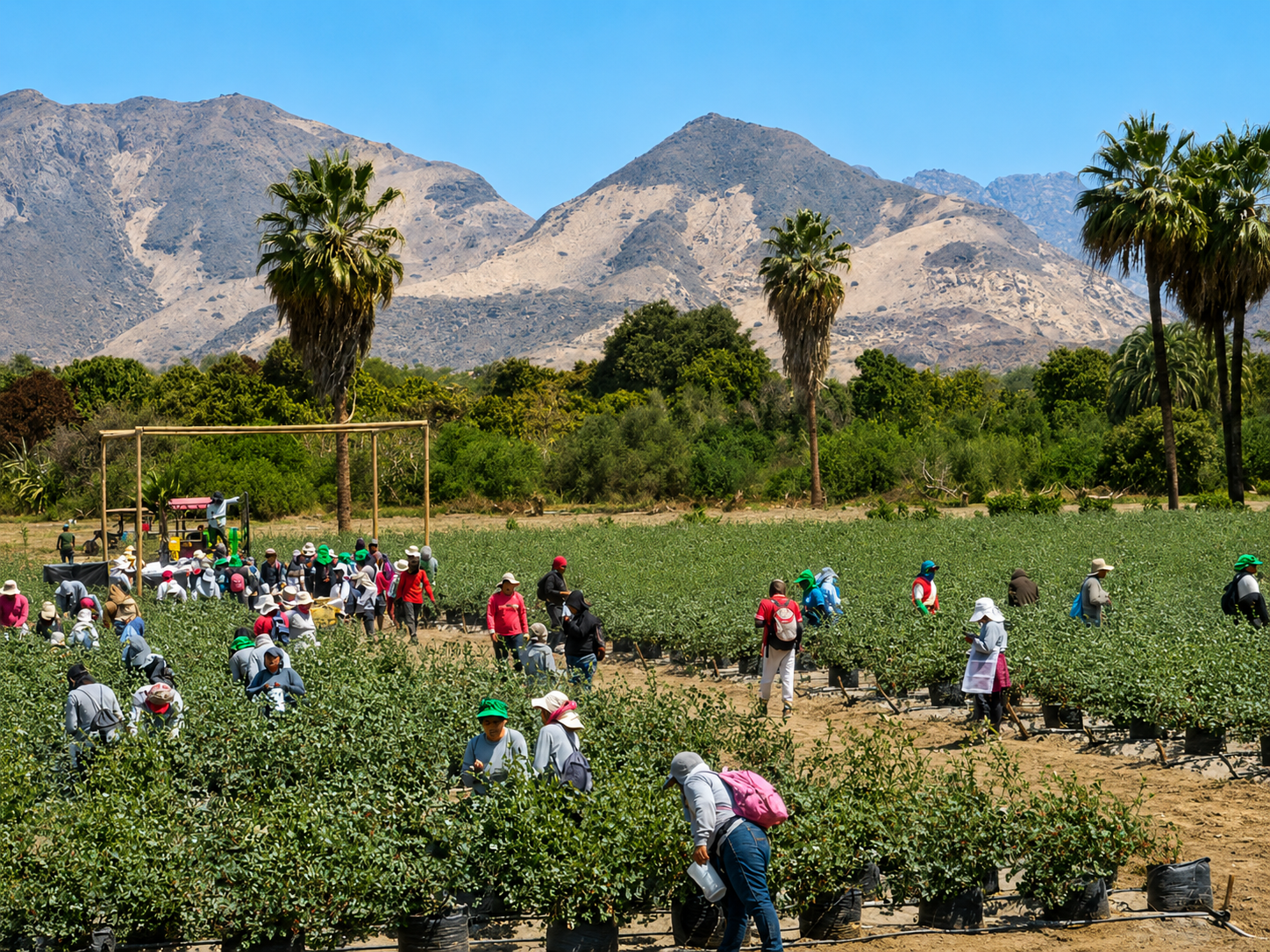 El crecimiento del campo peligra